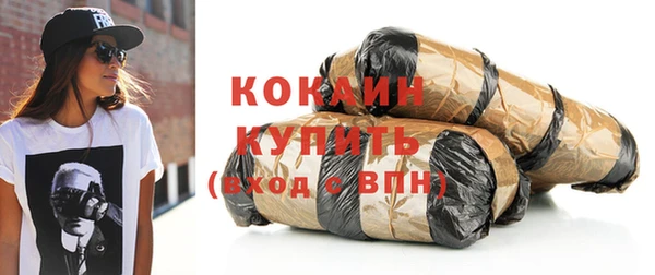 дживик Бородино
