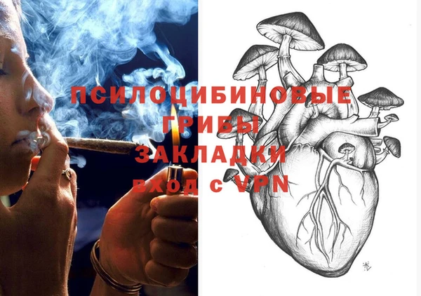 2c-b Зеленокумск