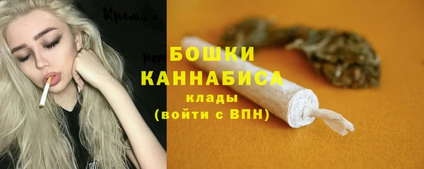 дживик Бородино