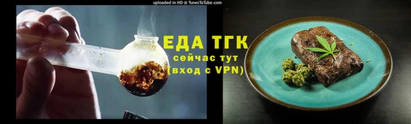 дживик Бородино