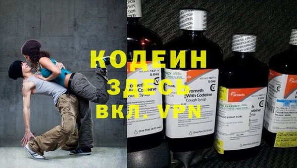 дживик Бородино