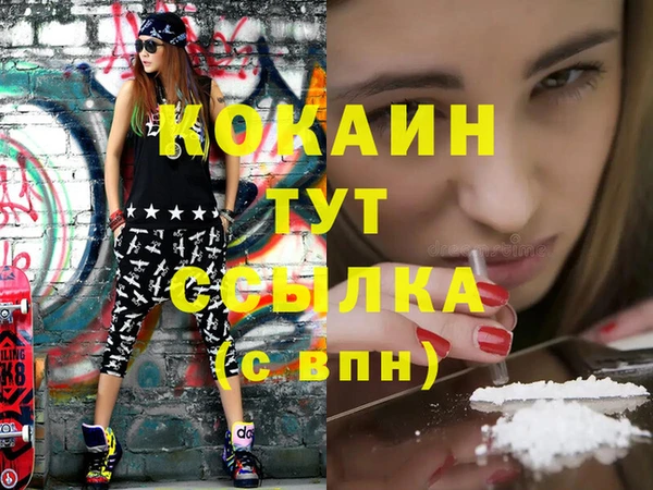 дживик Бородино