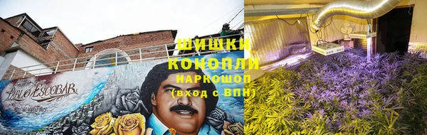 хмурый Бронницы