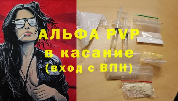 дживик Бородино