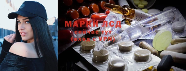 дживик Бородино