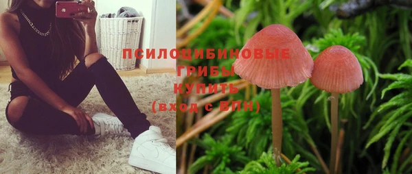 дживик Бородино