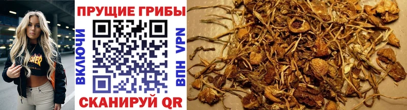 Псилоцибиновые грибы Magic Shrooms  Кировск 