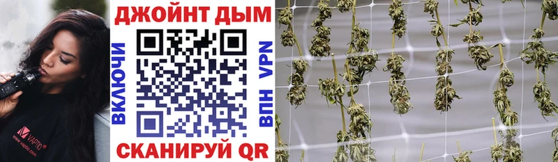 купить наркотики цена  Кировск  МЕГА   Канабис гибрид 